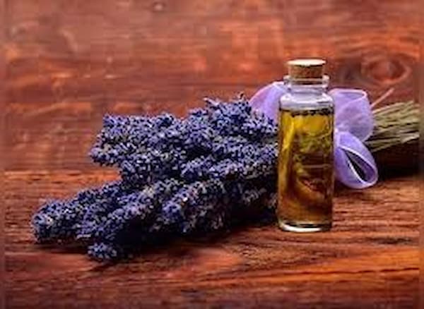 خرید اسانس روغنی اسطوخودوس + قیمت فروش استثنایی